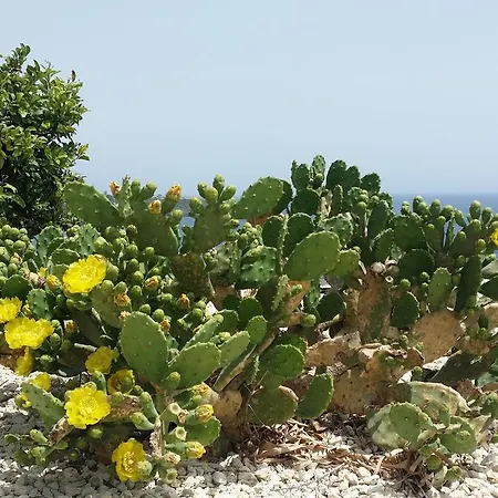 Casavacanze Maia Volcani * Acireale